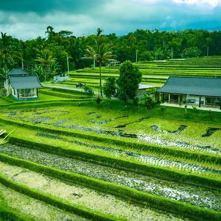 Kubu D'Ume Homestay Jatiluwih Exterior foto