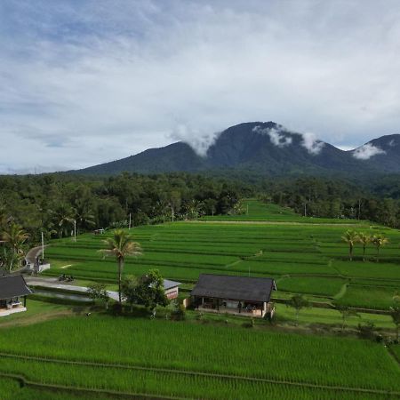 Kubu D'Ume Homestay Jatiluwih Exterior foto
