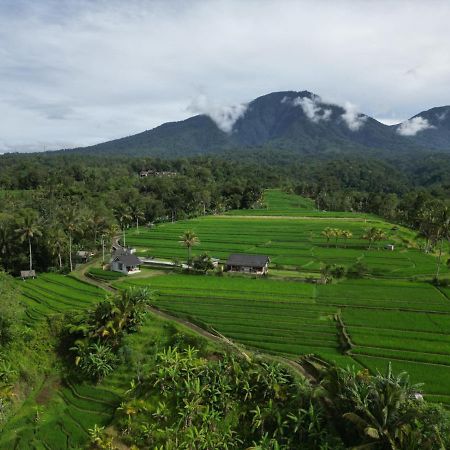 Kubu D'Ume Homestay Jatiluwih Exterior foto