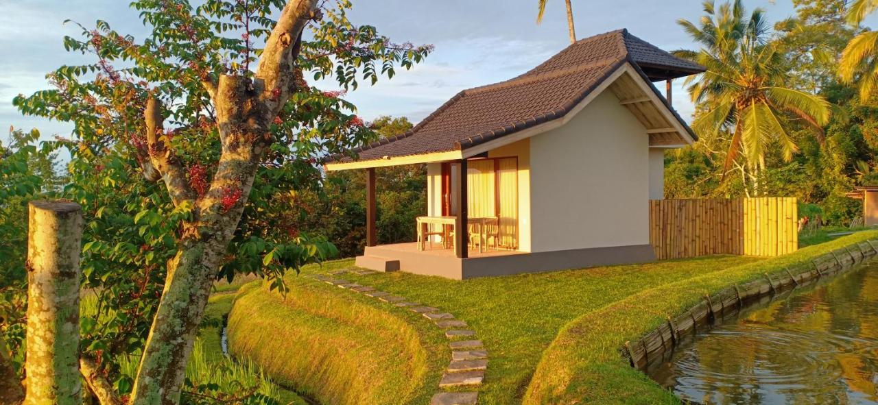 Kubu D'Ume Homestay Jatiluwih Exterior foto