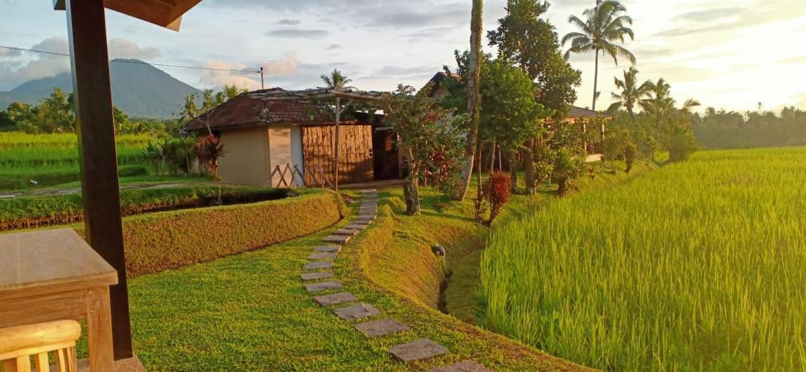 Kubu D'Ume Homestay Jatiluwih Exterior foto