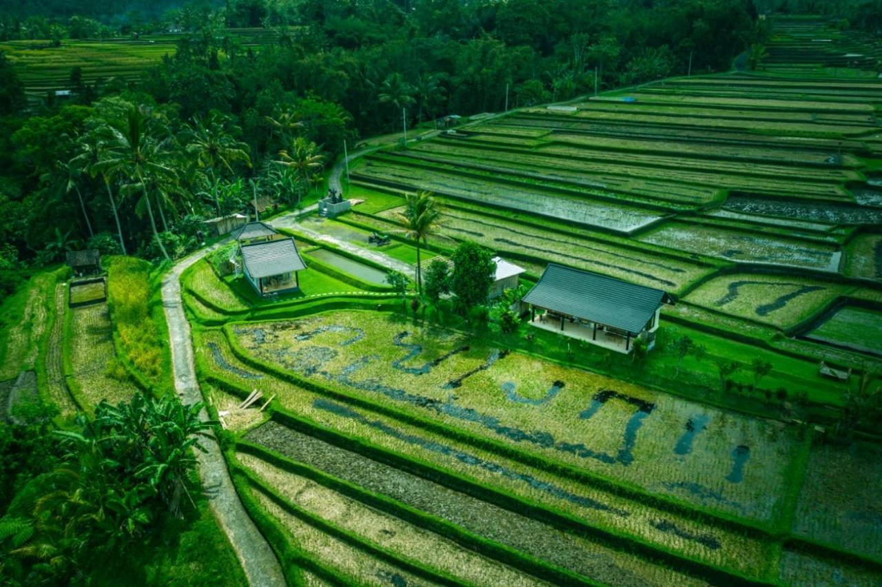 Kubu D'Ume Homestay Jatiluwih Exterior foto