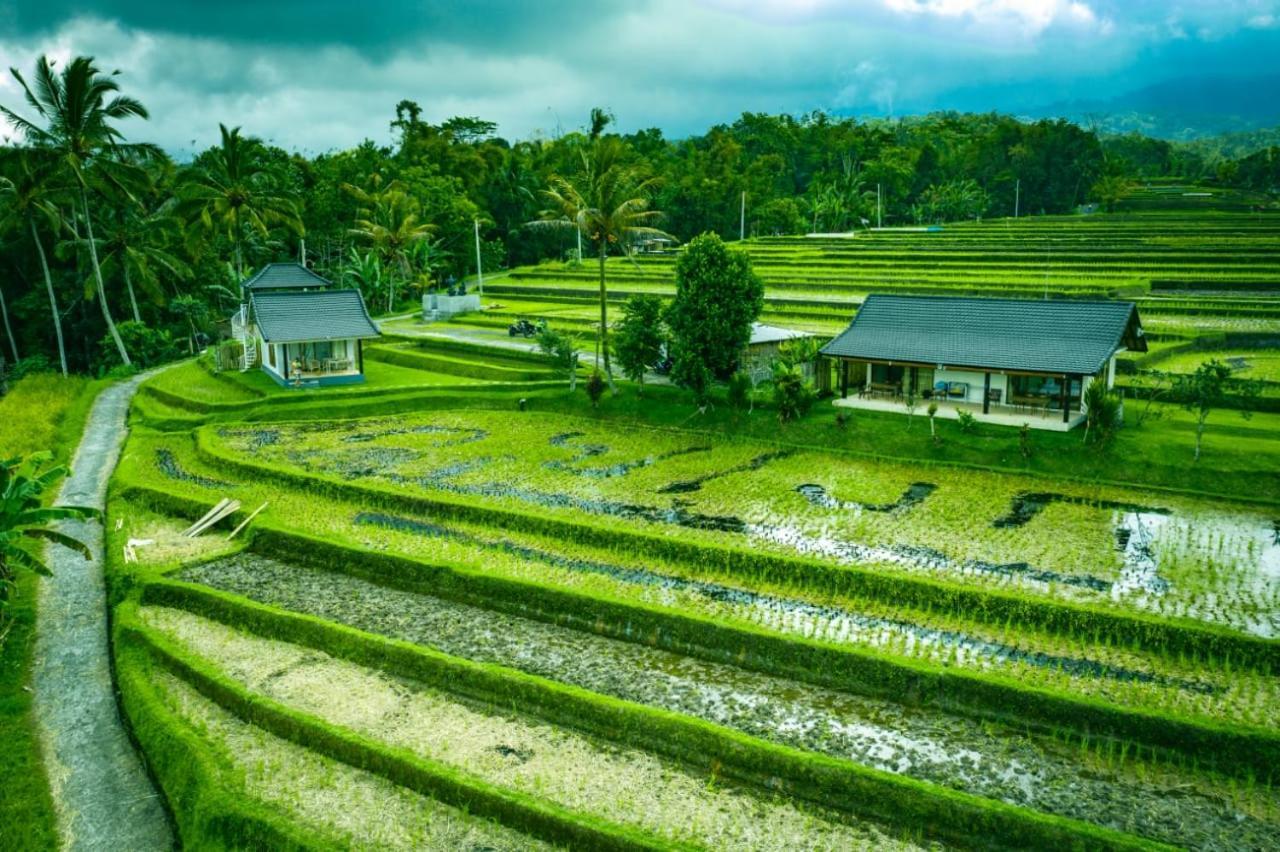 Kubu D'Ume Homestay Jatiluwih Exterior foto