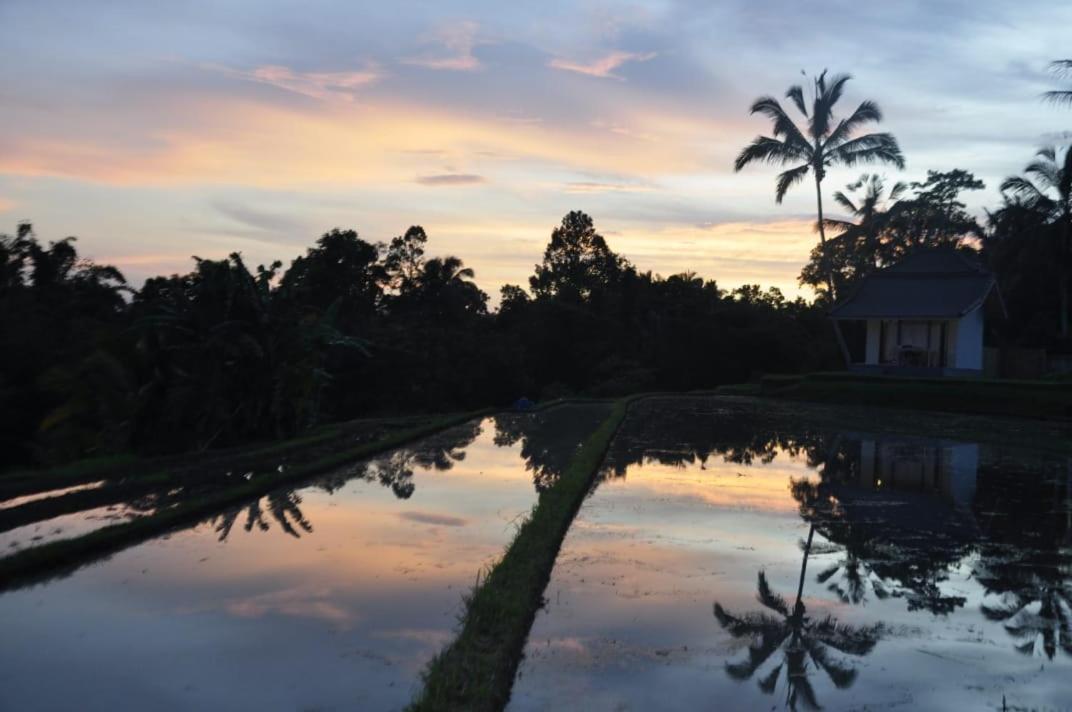Kubu D'Ume Homestay Jatiluwih Exterior foto