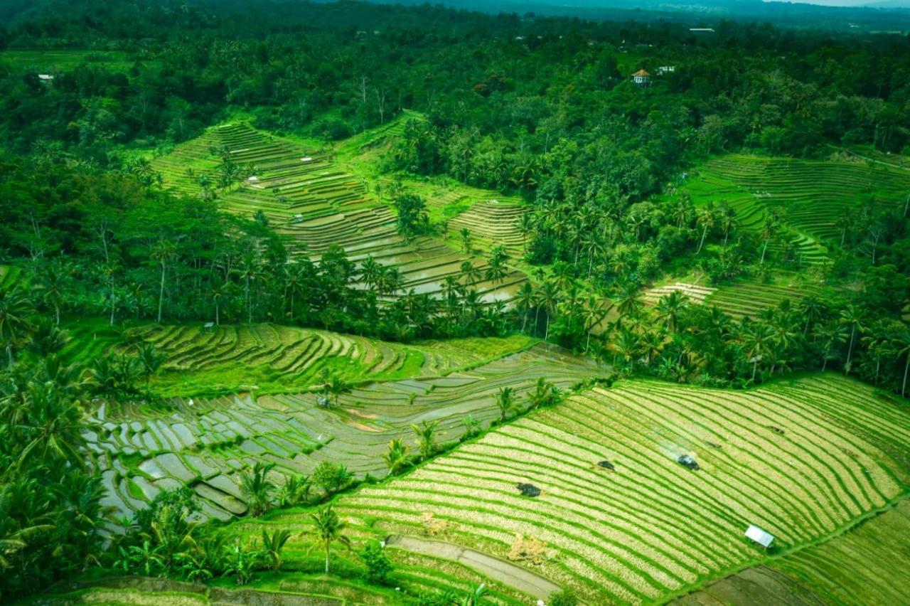 Kubu D'Ume Homestay Jatiluwih Exterior foto