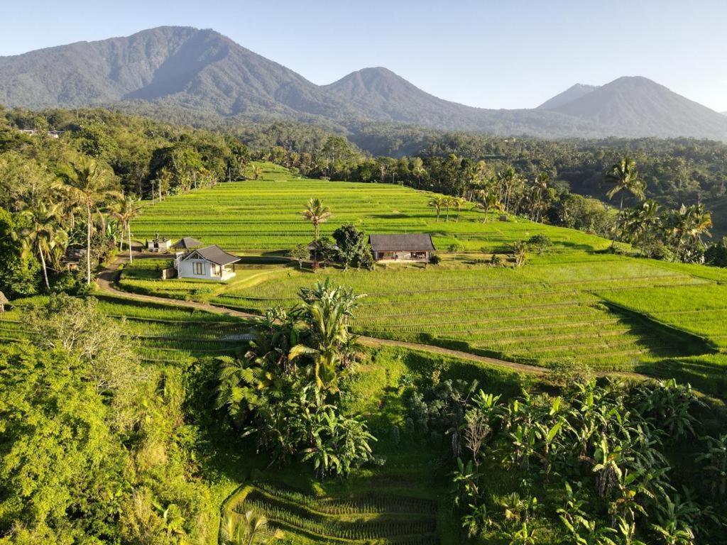 Kubu D'Ume Homestay Jatiluwih Exterior foto