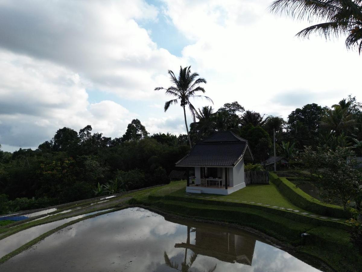 Kubu D'Ume Homestay Jatiluwih Exterior foto