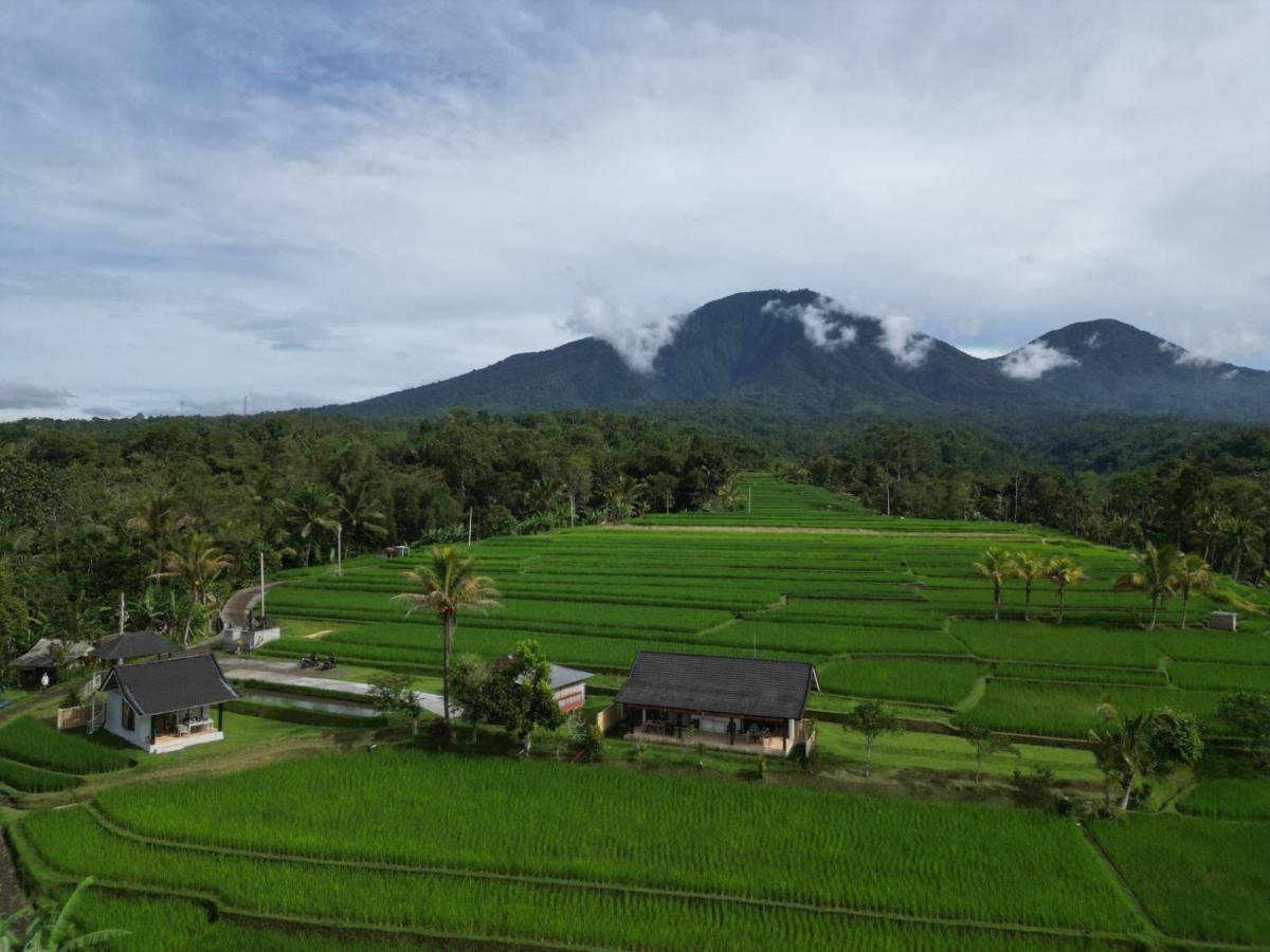Kubu D'Ume Homestay Jatiluwih Exterior foto