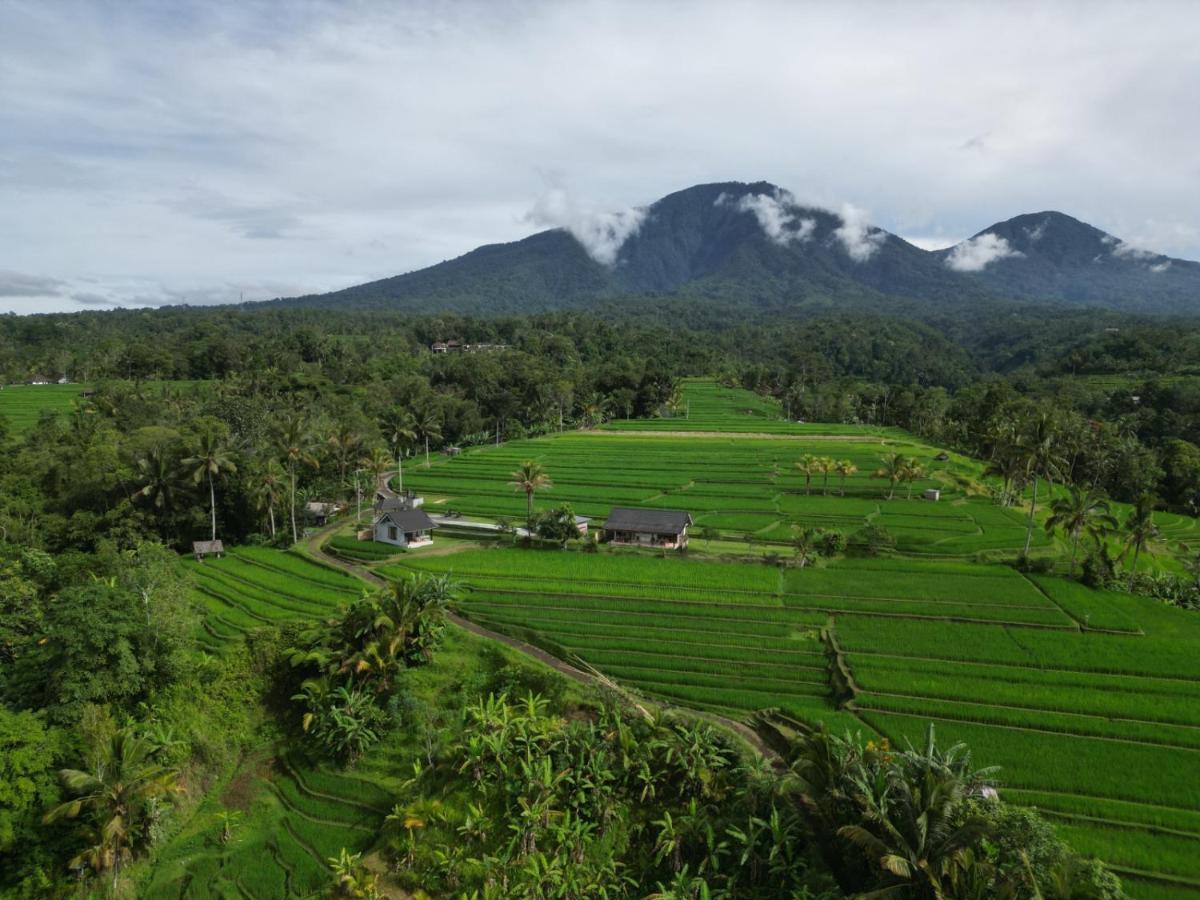Kubu D'Ume Homestay Jatiluwih Exterior foto