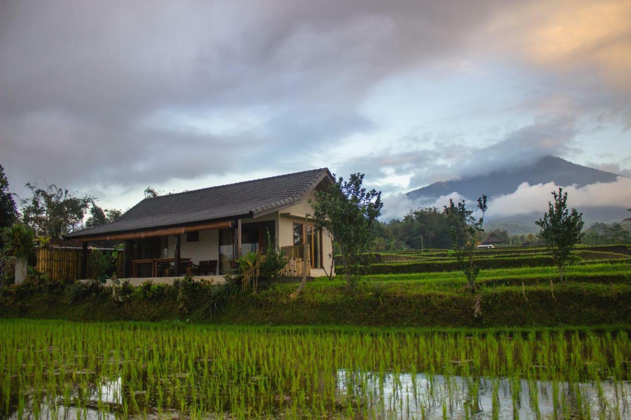 Kubu D'Ume Homestay Jatiluwih Exterior foto