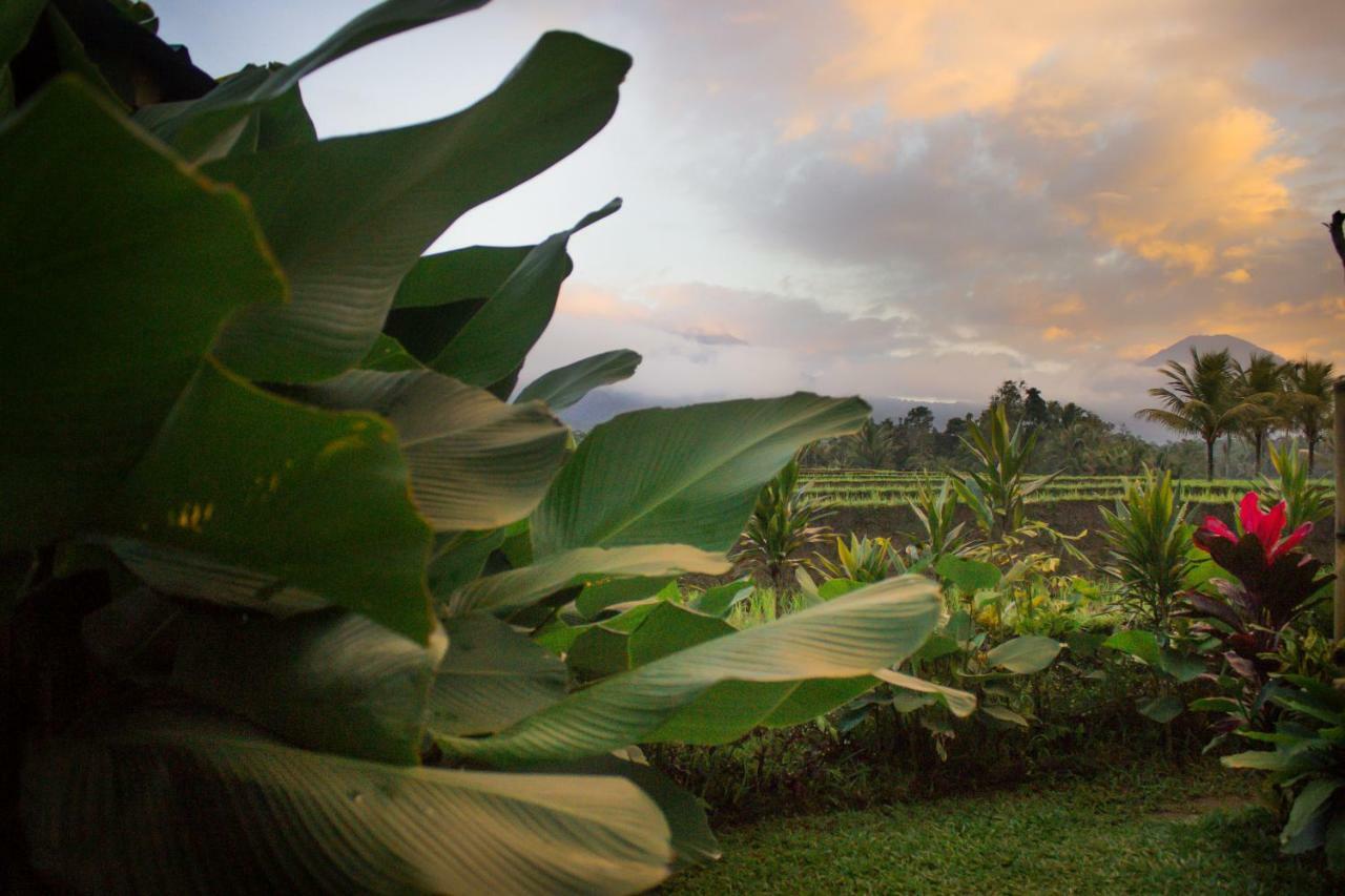 Kubu D'Ume Homestay Jatiluwih Exterior foto