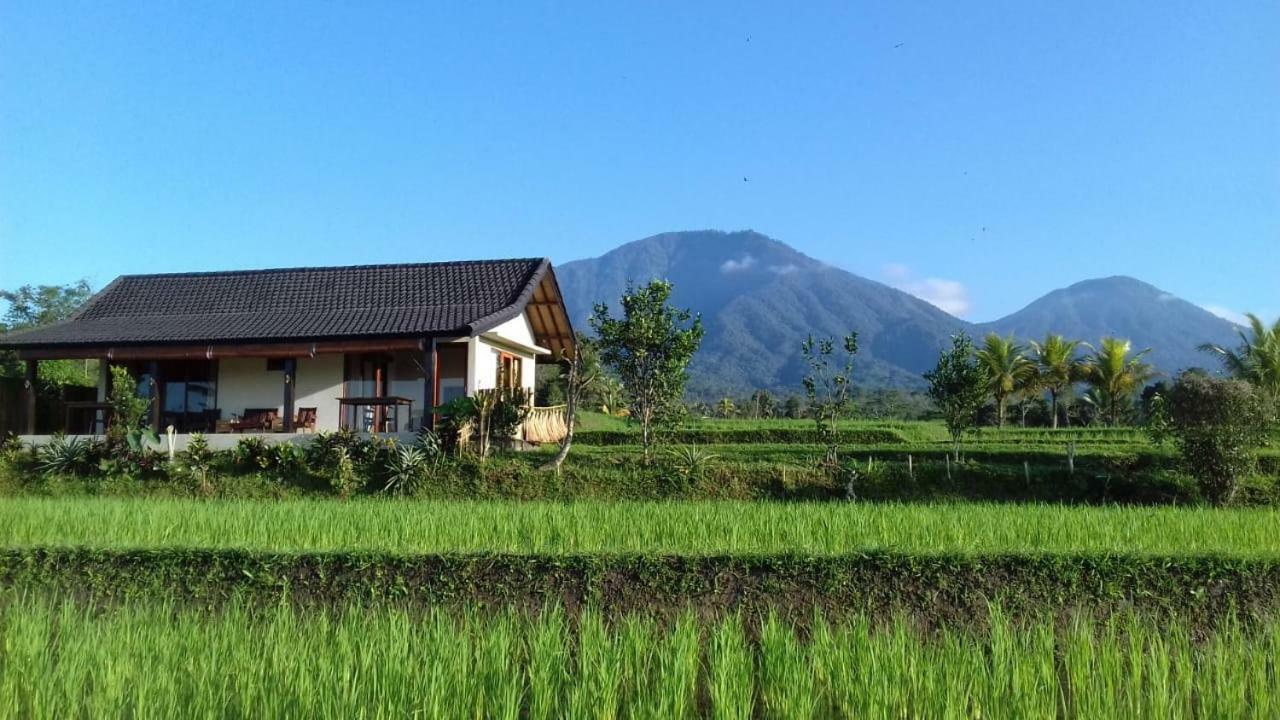 Kubu D'Ume Homestay Jatiluwih Exterior foto