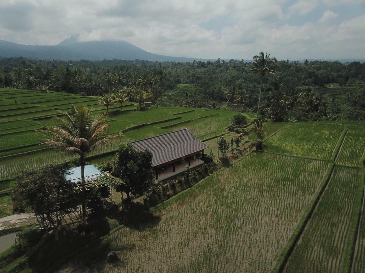 Kubu D'Ume Homestay Jatiluwih Exterior foto