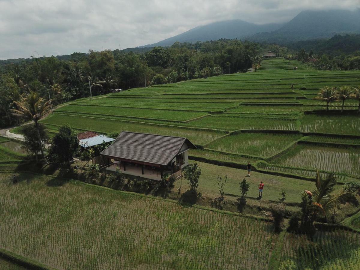 Kubu D'Ume Homestay Jatiluwih Exterior foto