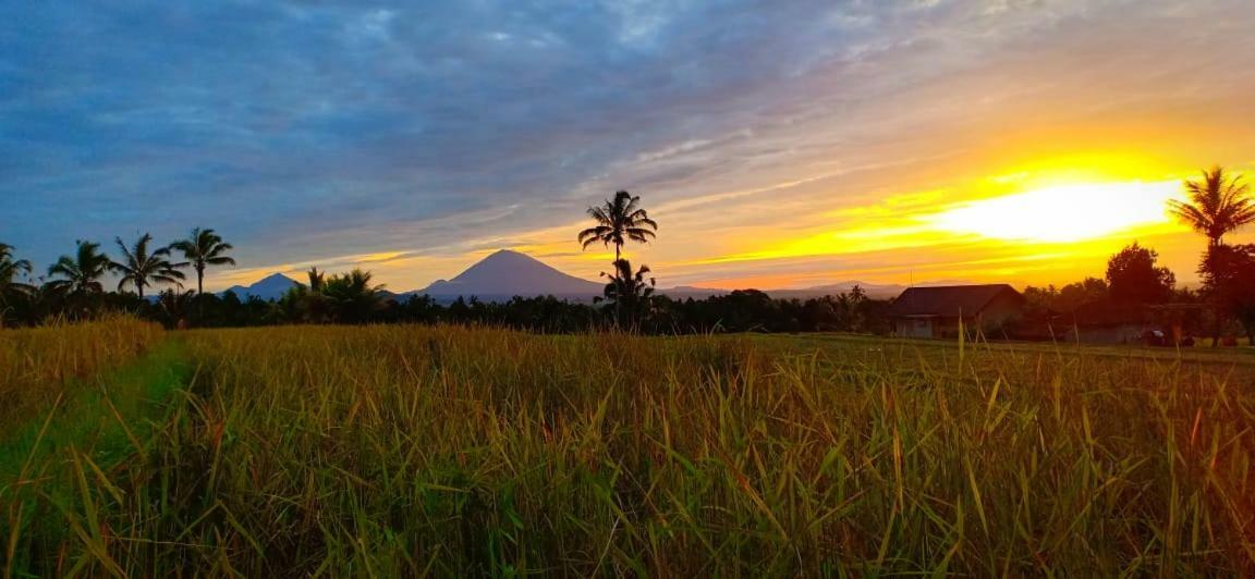 Kubu D'Ume Homestay Jatiluwih Exterior foto