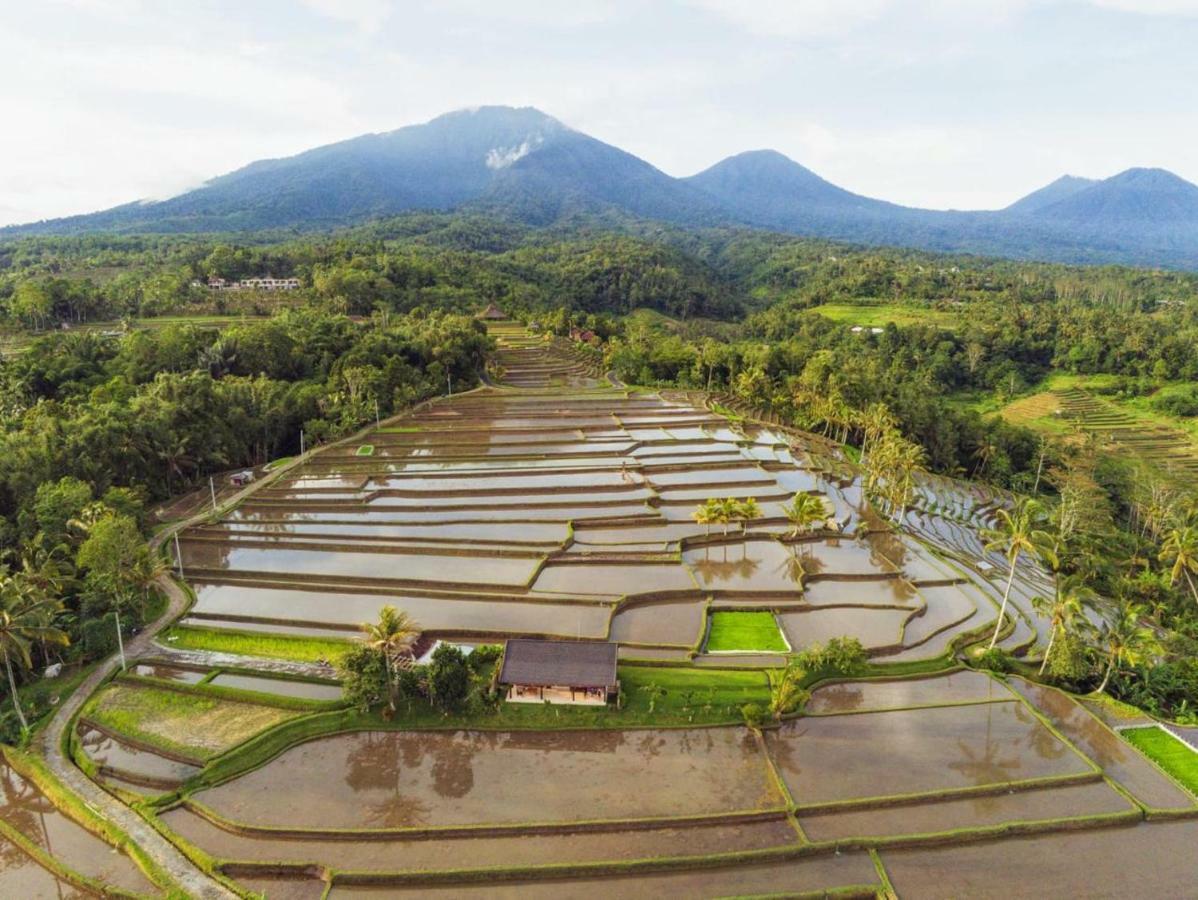 Kubu D'Ume Homestay Jatiluwih Exterior foto
