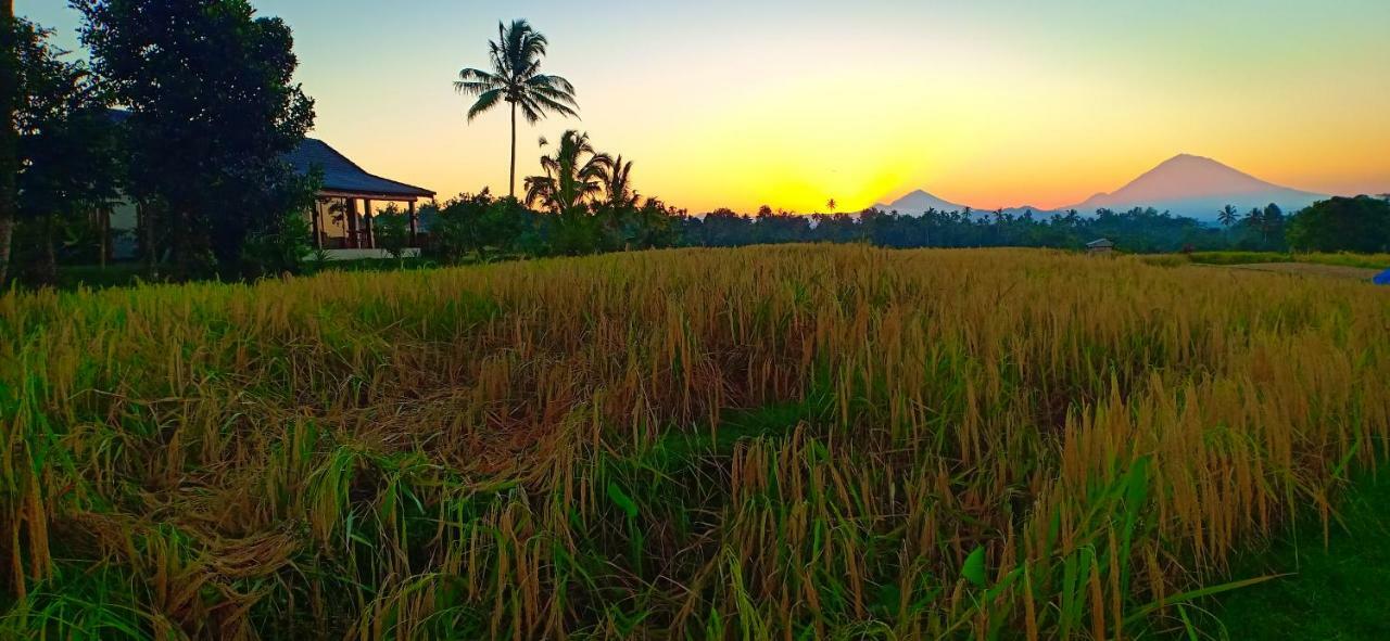 Kubu D'Ume Homestay Jatiluwih Exterior foto