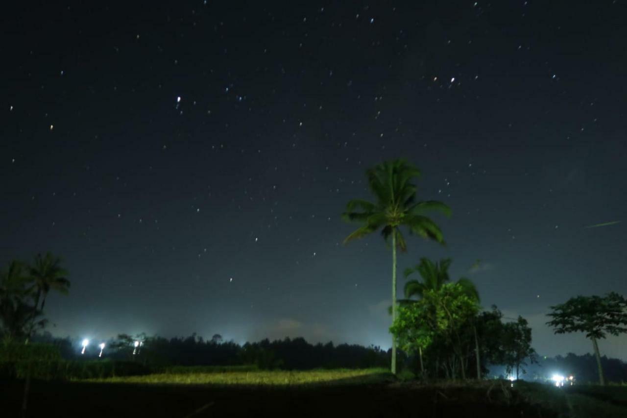Kubu D'Ume Homestay Jatiluwih Exterior foto