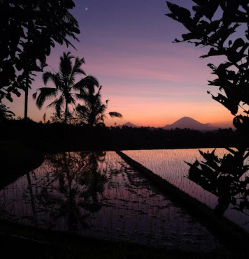 Kubu D'Ume Homestay Jatiluwih Exterior foto