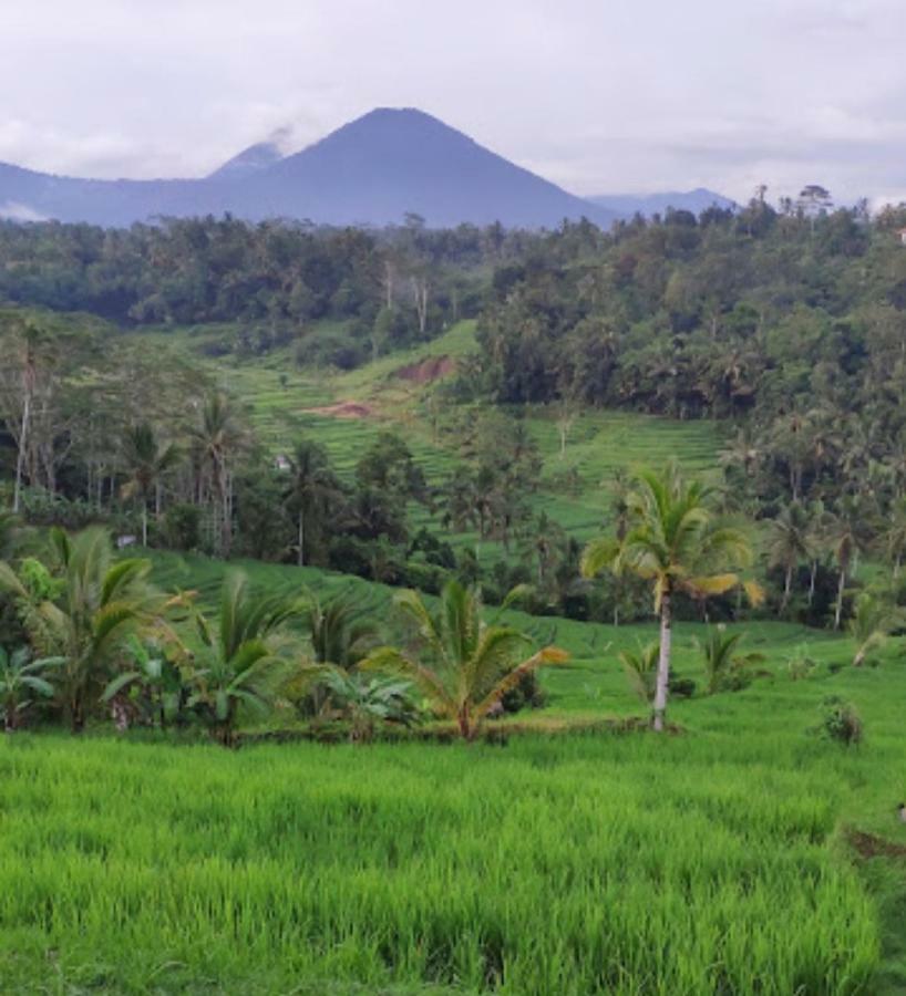 Kubu D'Ume Homestay Jatiluwih Exterior foto