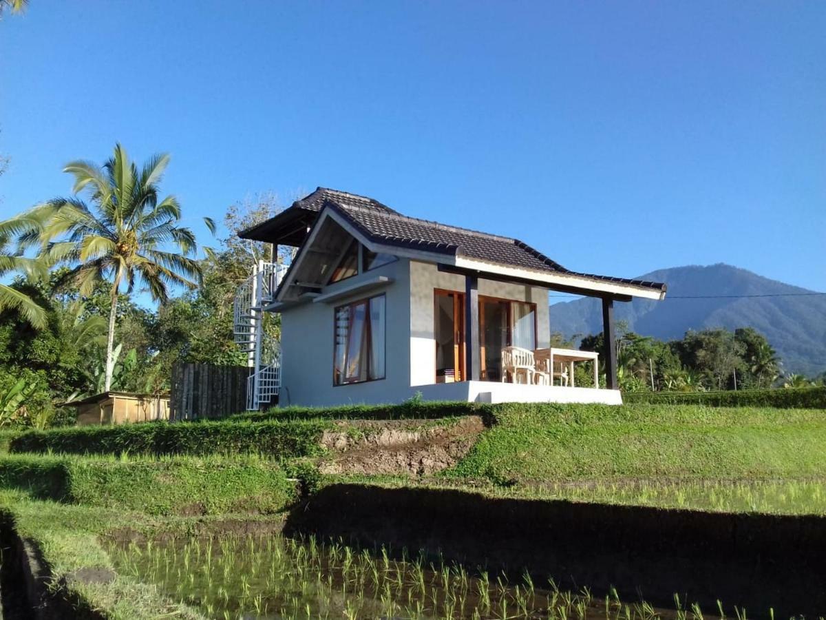 Kubu D'Ume Homestay Jatiluwih Exterior foto