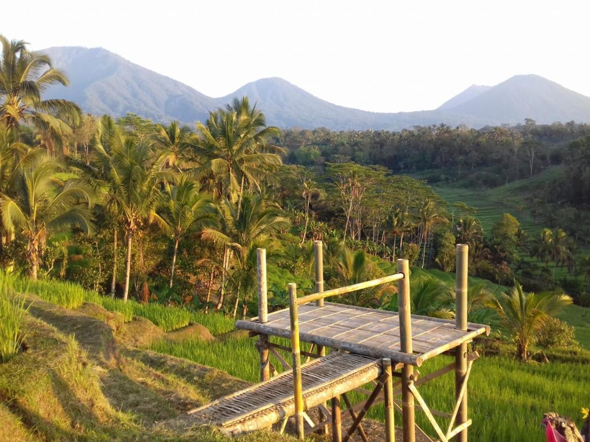 Kubu D'Ume Homestay Jatiluwih Exterior foto