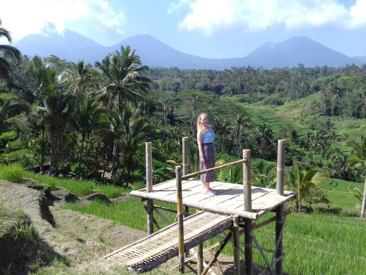 Kubu D'Ume Homestay Jatiluwih Exterior foto